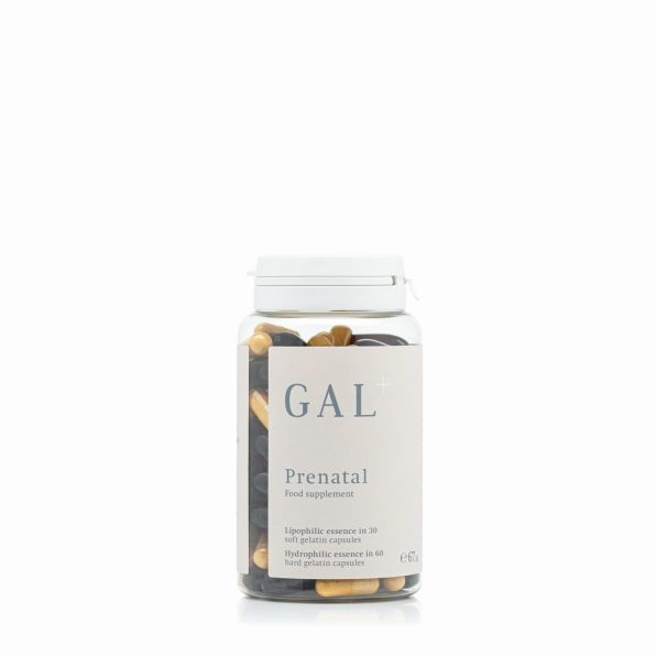 GAL+ Prenatal Multivitamin